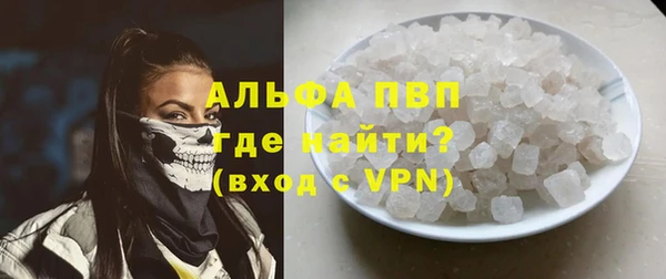 гашик Алексин