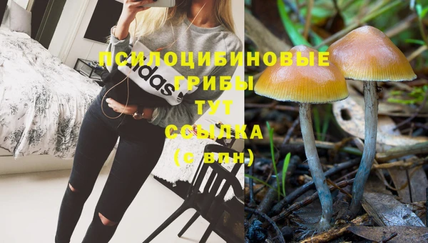 герыч Абдулино