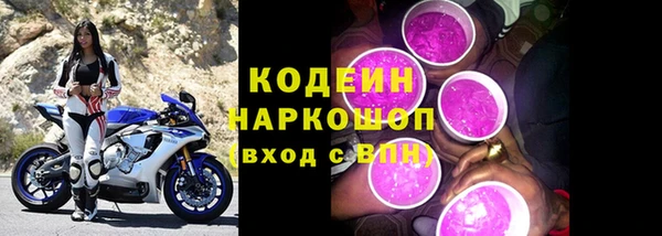 гашик Алексин