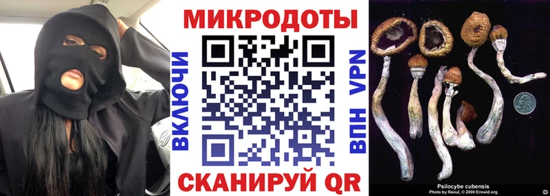 где найти наркотики  Старая Русса  Псилоцибиновые грибы мицелий 